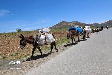 بدء الهجرة الموسمية لقبائل بختياري الرحل 