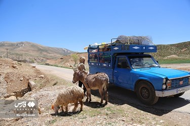 بدء الهجرة الموسمية لقبائل بختياري الرحل 