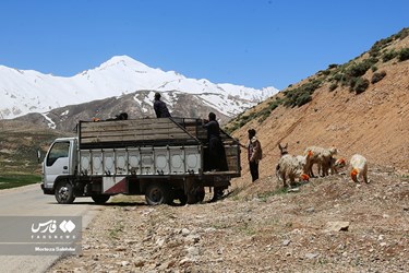 بدء الهجرة الموسمية لقبائل بختياري الرحل 
