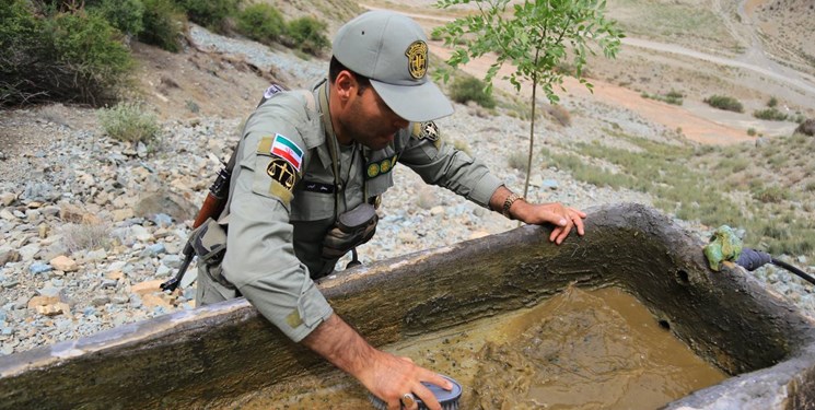 پویش مردمی مهربانی با حیات وحش آغاز شد