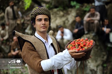 Strawberry Festival Held in Western Iran
