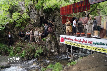 Strawberry Festival Held in Western Iran