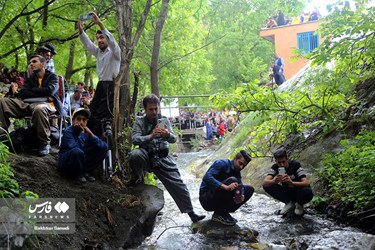 Strawberry Festival Held in Western Iran