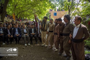 Strawberry Festival Held in Western Iran