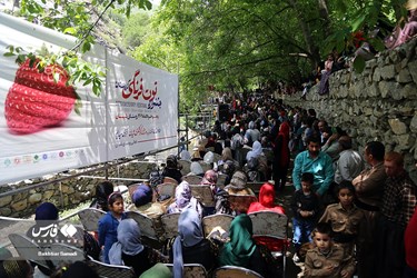 Strawberry Festival Held in Western Iran