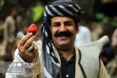 Strawberry Festival Held in Western Iran