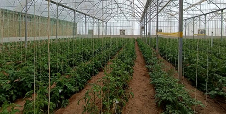 طرح‌های کشاورزی راهی برای توسعه کردستان