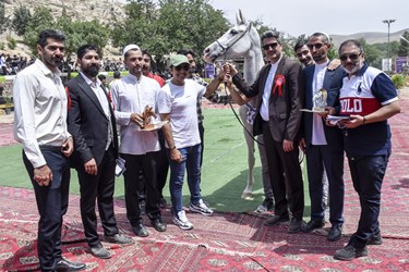 هفدهمین جشنواره ملی «زیبایی اسب اصیل ترکمن» در بجنورد