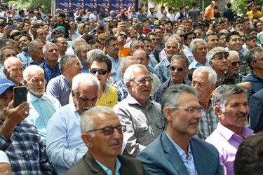 برگزاری دومین جشنواره توت ترکان در مروست یزد