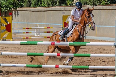 مسابقات سوارکاری پرش با اسب در فارس