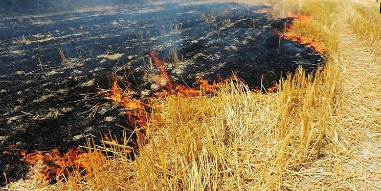 سوزاندن بقایای کشاورزی منجر به افزایش غلظت آلاینده‌های هوا شده است
