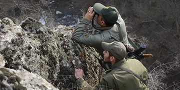 درد نیش حیوانات را به جان می‌خریم، شلیک شکارچیان را نه!
