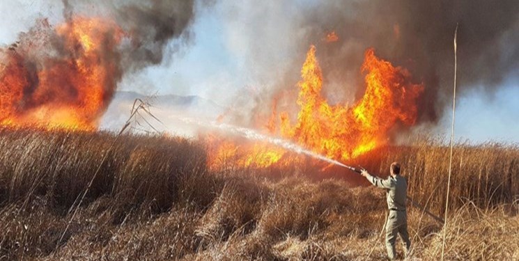 استقرار نیروهای آموزش دیده در 96 کانون مستعد آتش سوزی در ایلام