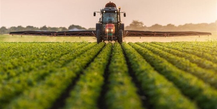 مازندران در تولید ۱۷ محصول کشاورزی رتبه نخست کشور را دارد