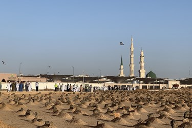 قبرستان بقیع در مدینه منوره