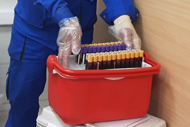 نمونه های خون برای آزمایشگاه 