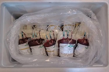 ظرف انتقال کیسه های خون به مرکز سازمان جهت رساندن به بیماران نیازمند 