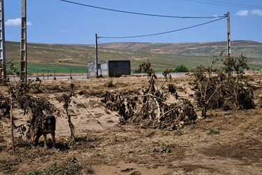 خسارات سیل در شهرستان «گرمی و انگوت»