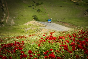 آخرین روزهای بهاریِ «دِیلمان»