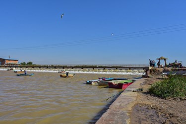 صید ماهی‌‌ها روی پل صراط