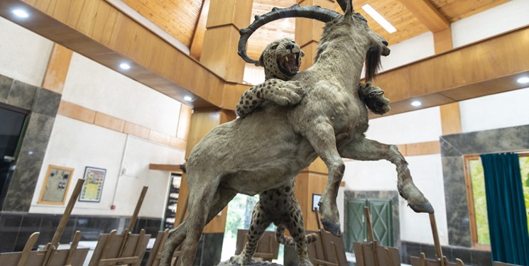 موزه تاریخ طبیعی در اسفراین افتتاح شد