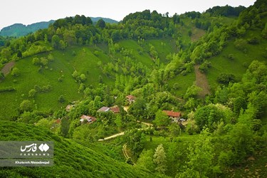 Deylaman, A Green Jewel in Gilan, Iran
