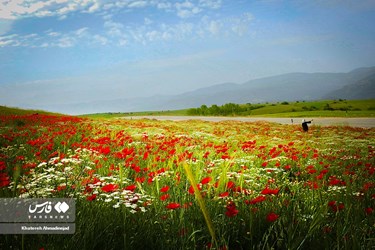 Deylaman, A Green Jewel in Gilan, Iran