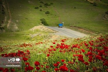 Deylaman, A Green Jewel in Gilan, Iran
