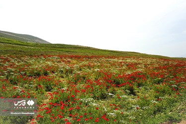 Deylaman, A Green Jewel in Gilan, Iran