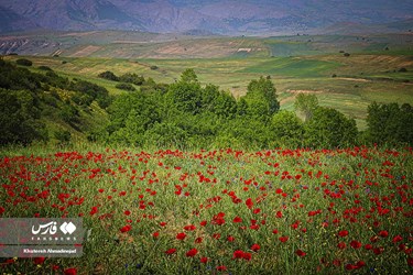 Deylaman, A Green Jewel in Gilan, Iran