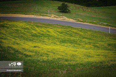 Deylaman, A Green Jewel in Gilan, Iran