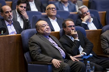 مهدی صفری، معاون اقتصادی وزیر امور خارجه در همایش امنیت سرمایه گذاری