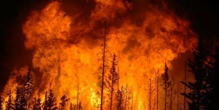 فیلم| آتش‌سوزی گسترده در جنگل‌های هاتای ترکیه