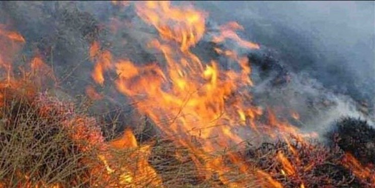 شناسایی عوامل آتش‌سوزی در ۶٠ هکتار از اراضی کوهدشت