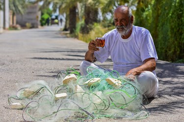 گرمای خرماپزان آبادان