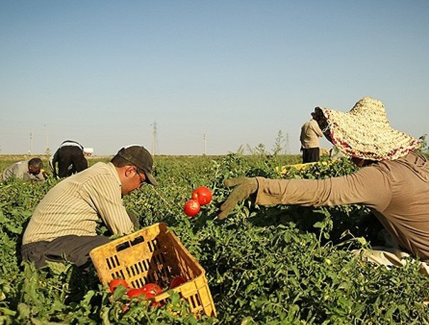 ماجراهای عجیب اهالی روستای کوت شیخ با منابع طبیعی!