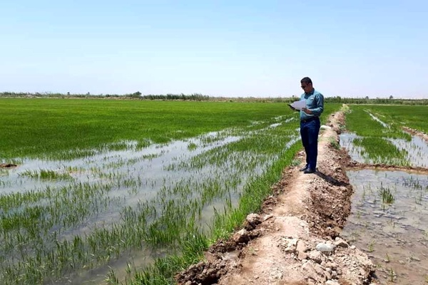 ماجراهای عجیب اهالی روستای کوت شیخ با منابع طبیعی!