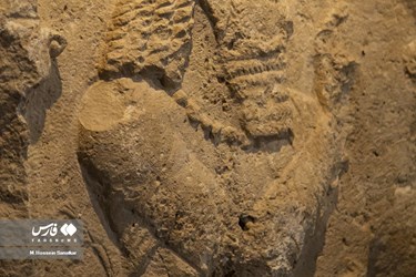 Sassanid Bas-Relief Unveiled in National Museum of Iran