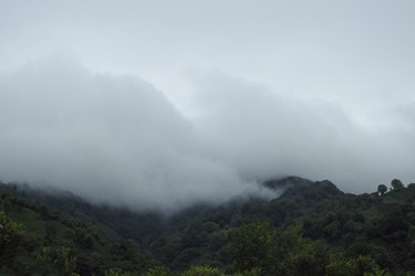 بارش تابستانی باران در «گیلان»