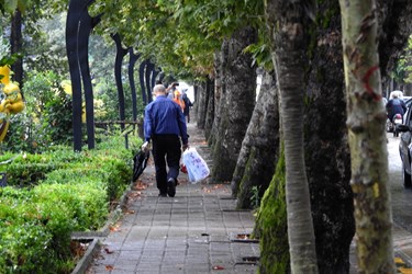 بارش تابستانی باران در «گیلان»