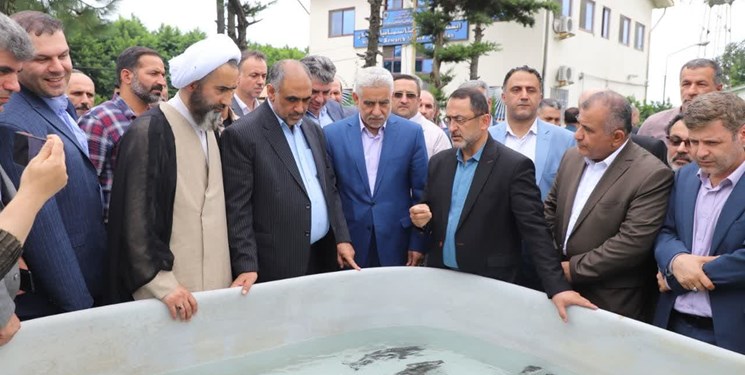 وزیر جهاد: ماهیان خاویاری دریای خزر در دنیا بی‌نظیرند