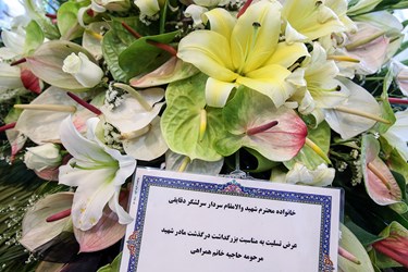 مراسم بزرگداشت مادر فرمانده شجاع و دلاور لشکر بدر دوران دفاع مقدس سرلشکر پاسدار شهید اسماعیل دقایقی در مسجد جامع پیامبر اعظم(ص) شهرک شهیدمحلاتی تهران 