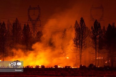 Rabbit Fire in Southern California Causes Dozens of Evacuations