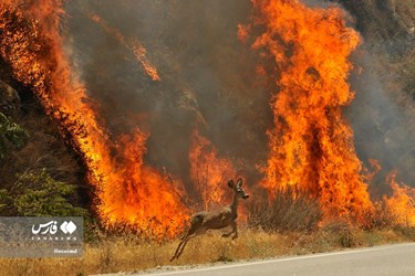 Rabbit Fire in Southern California Causes Dozens of Evacuations