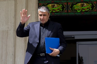 محمد اسلامی رئیس سازمان انرژی اتمی در حاشیه جلسه هیات دولت