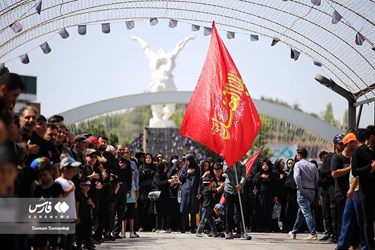 Iranian Muslims Mark Ashura Across Country