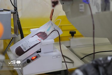 Blood Donation in Ashura Mourning