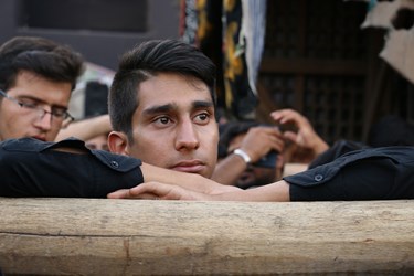 آئین «نخل گردانی» در تَفت