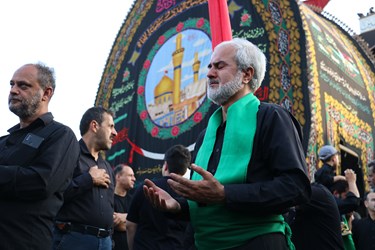 آئین «نخل گردانی» در تَفت