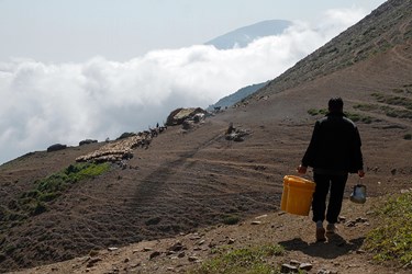 مرتع کندرود در ارتفاعات ییلاقی کوهستان چالوس  